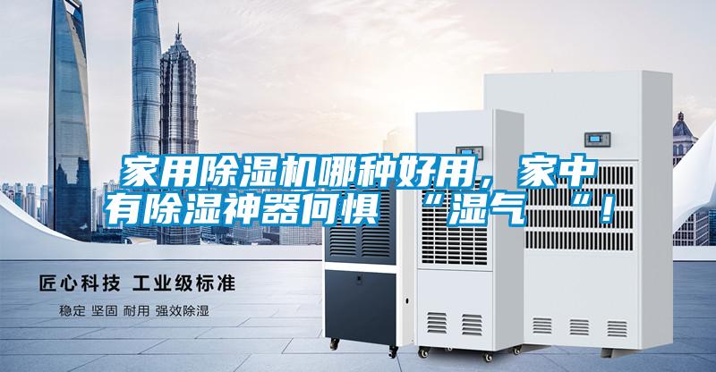 家用除濕機哪種好用,家中有除濕神器何懼 “濕氣 “!