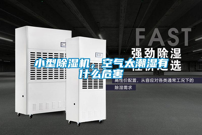 小型除濕機，空氣太潮濕有什么危害