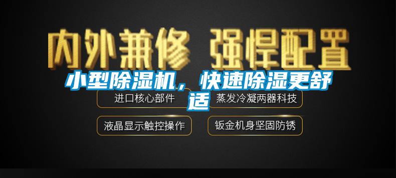 小型除濕機，快速除濕更舒適