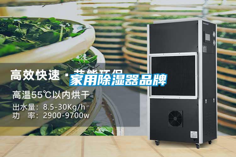 家用除濕器品牌