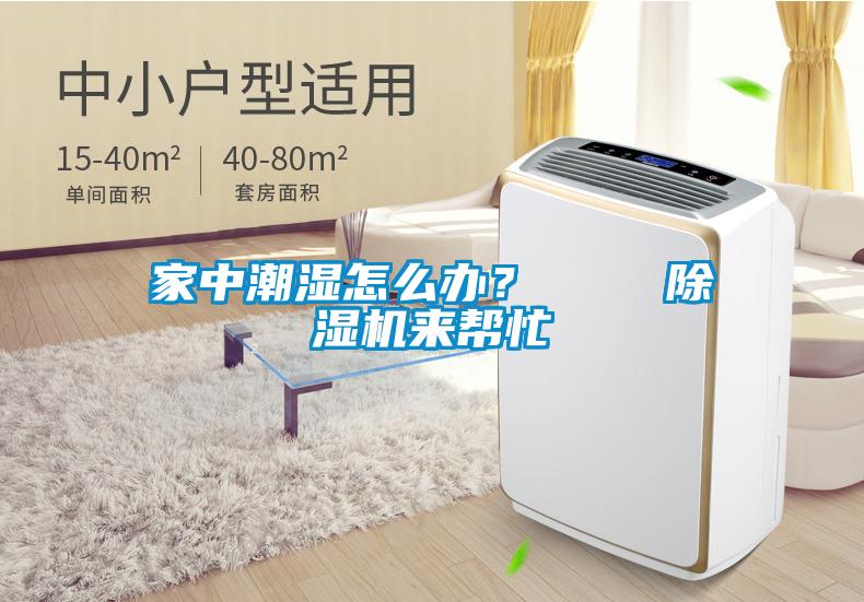 家中潮濕怎么辦？    除濕機(jī)來幫忙