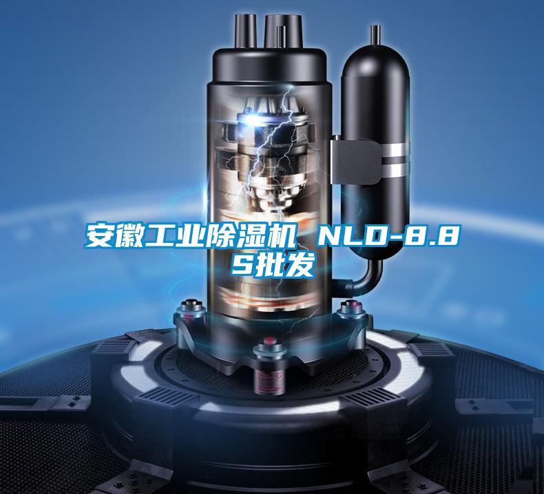 安徽工業除濕機 NLD-8.8S批發