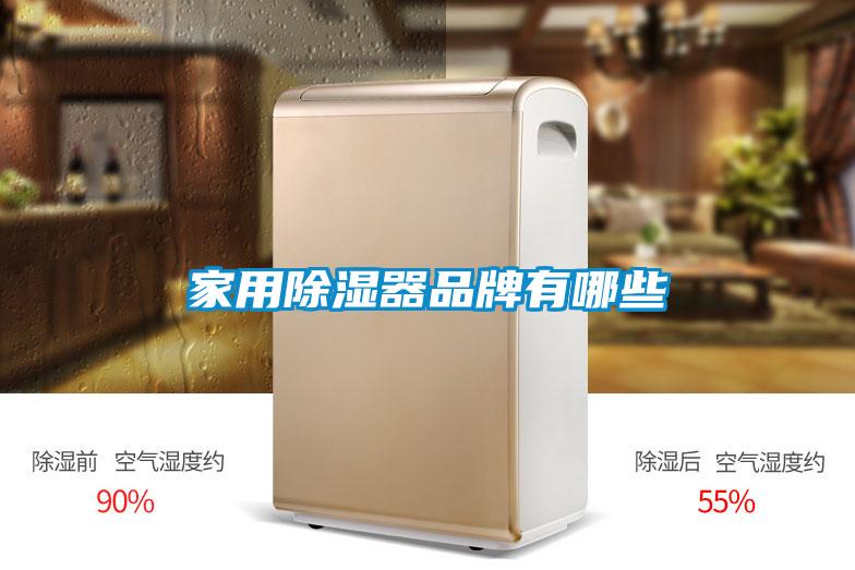 家用除濕器品牌有哪些