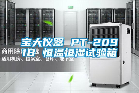 寶大儀器 PT-2091B 恒溫恒濕試驗箱