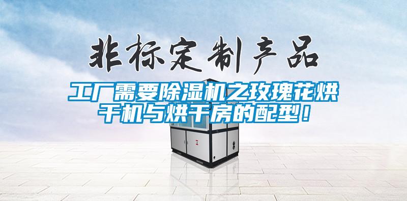工廠需要除濕機之玫瑰花烘干機與烘干房的配型!
