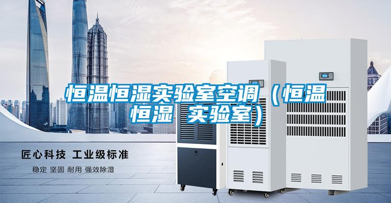 恒溫恒濕實驗室空調（恒溫恒濕 實驗室）