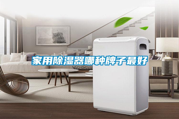 家用除濕器哪種牌子最好
