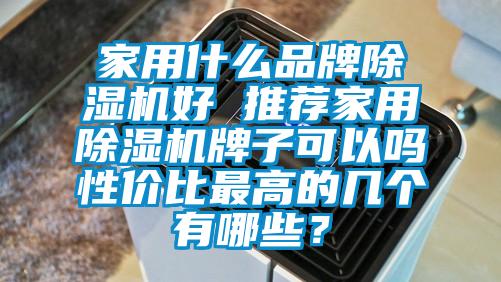 家用什么品牌除濕機好 推薦家用除濕機牌子可以嗎性價比最高的幾個有哪些？