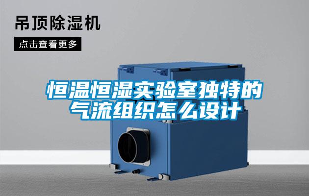 恒溫恒濕實驗室獨特的氣流組織怎么設(shè)計