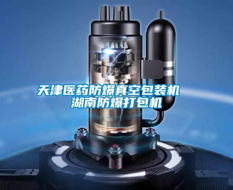 天津醫藥防爆真空包裝機  湖南防爆打包機