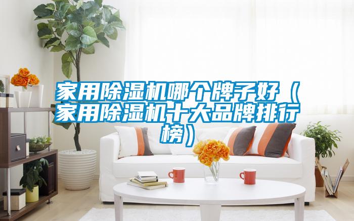 家用除濕機哪個牌子好（家用除濕機十大品牌排行榜）