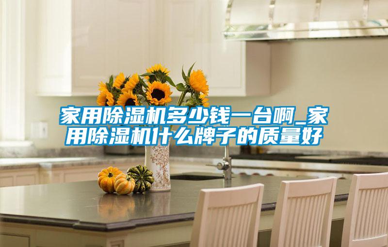 家用除濕機(jī)多少錢(qián)一臺(tái)啊_家用除濕機(jī)什么牌子的質(zhì)量好