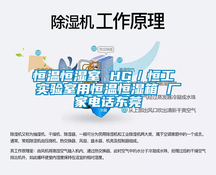 恒溫恒濕室 HG／恒工 實驗室用恒溫恒濕箱 廠家電話東莞
