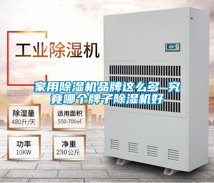 家用除濕機品牌這么多 究竟哪個牌子除濕機好