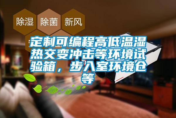 定制可編程高低溫濕熱交變沖擊等環境試驗箱，步入室環境倉等