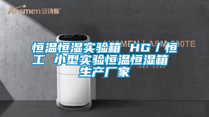 恒溫恒濕實驗箱 HG／恒工 小型實驗恒溫恒濕箱 生產廠家