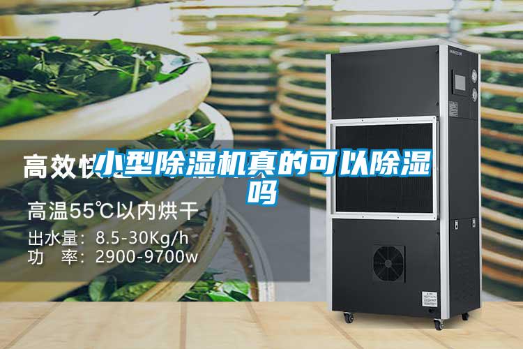 小型除濕機真的可以除濕嗎