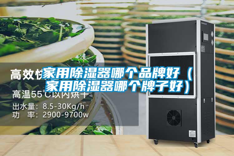 家用除濕器哪個品牌好（家用除濕器哪個牌子好）
