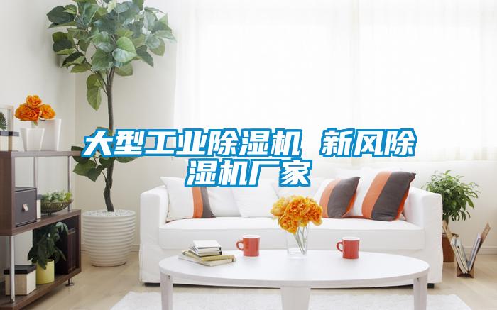 大型工業除濕機 新風除濕機廠家