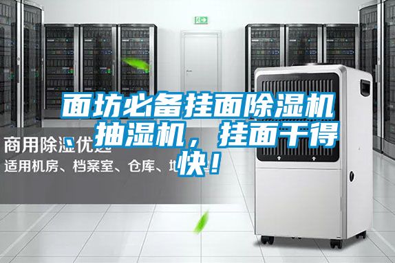 面坊必備掛面除濕機、抽濕機，掛面干得快！