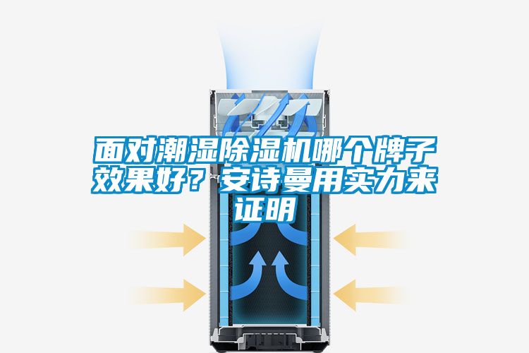 面對潮濕除濕機哪個牌子效果好？安詩曼用實力來證明