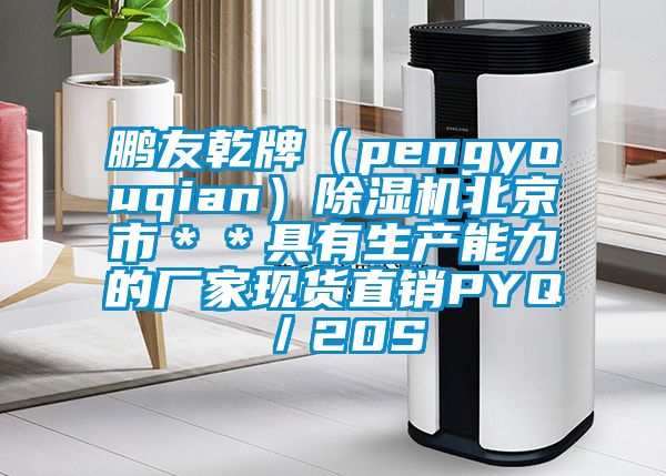 鵬友乾牌（pengyouqian）除濕機北京市＊＊具有生產能力的廠家現(xiàn)貨直銷PYQ／20S