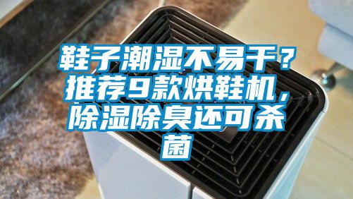 鞋子潮濕不易干？推薦9款烘鞋機，除濕除臭還可殺菌