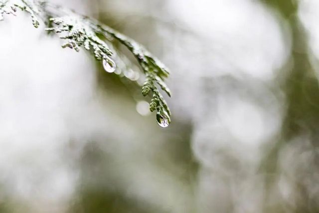 空氣濕度大帶來(lái)的危害有哪些，你知道嗎？