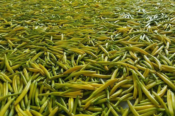 無硫金針菜烘干如何保持品相？不發黑？_除濕機廠家